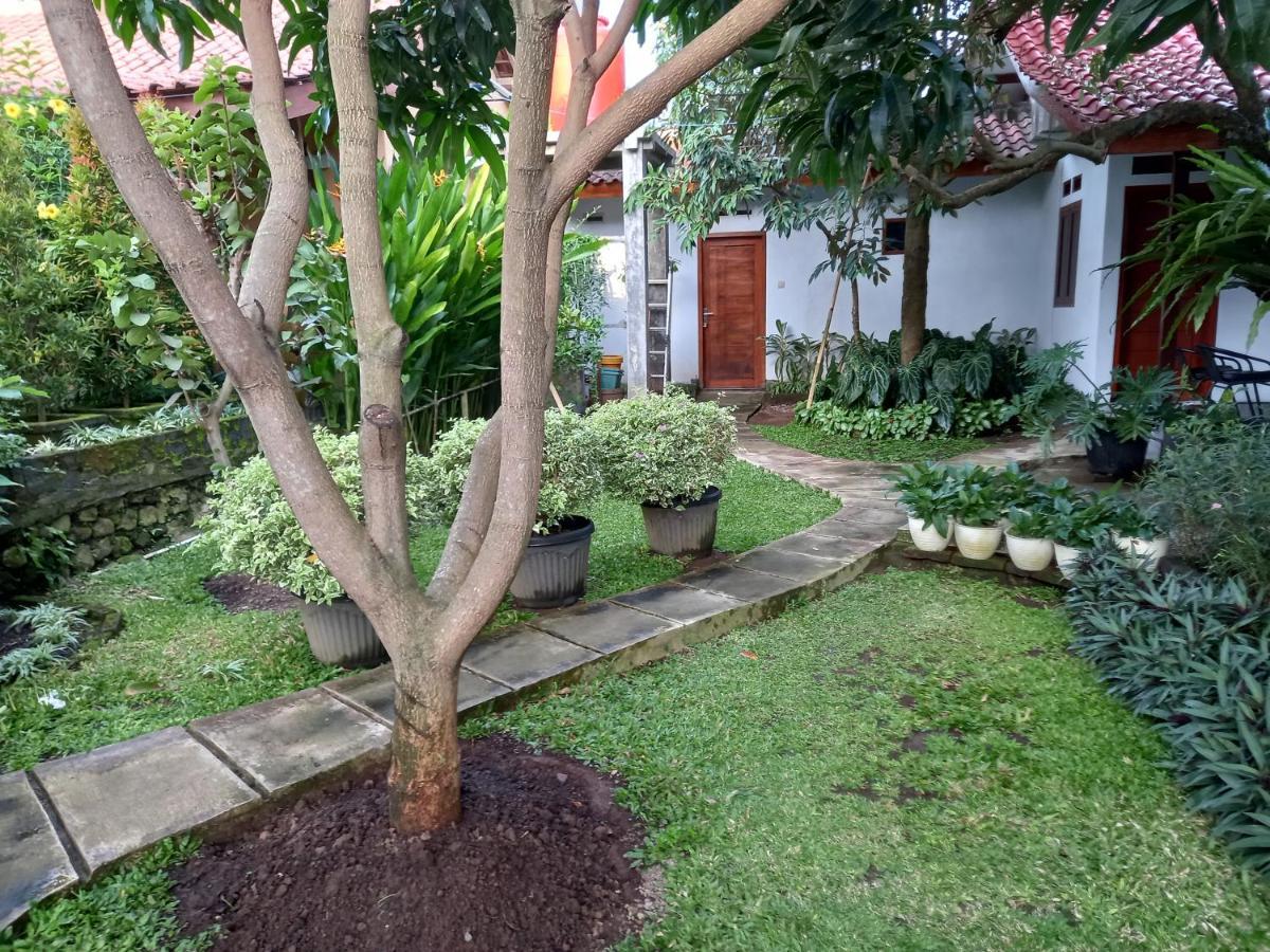Juda Homestay บันยูวังงี ภายนอก รูปภาพ