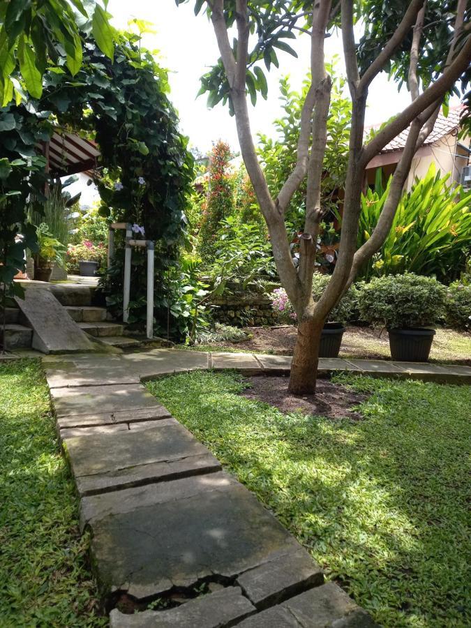 Juda Homestay บันยูวังงี ภายนอก รูปภาพ