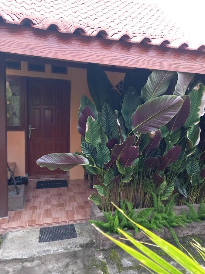 Juda Homestay บันยูวังงี ภายนอก รูปภาพ