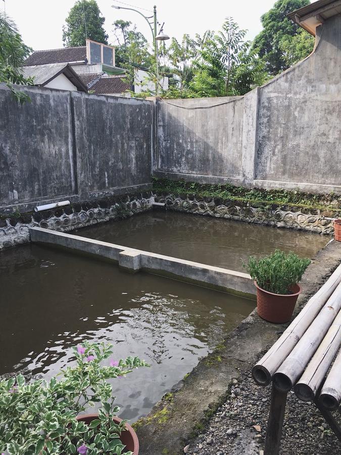 Juda Homestay บันยูวังงี ภายนอก รูปภาพ